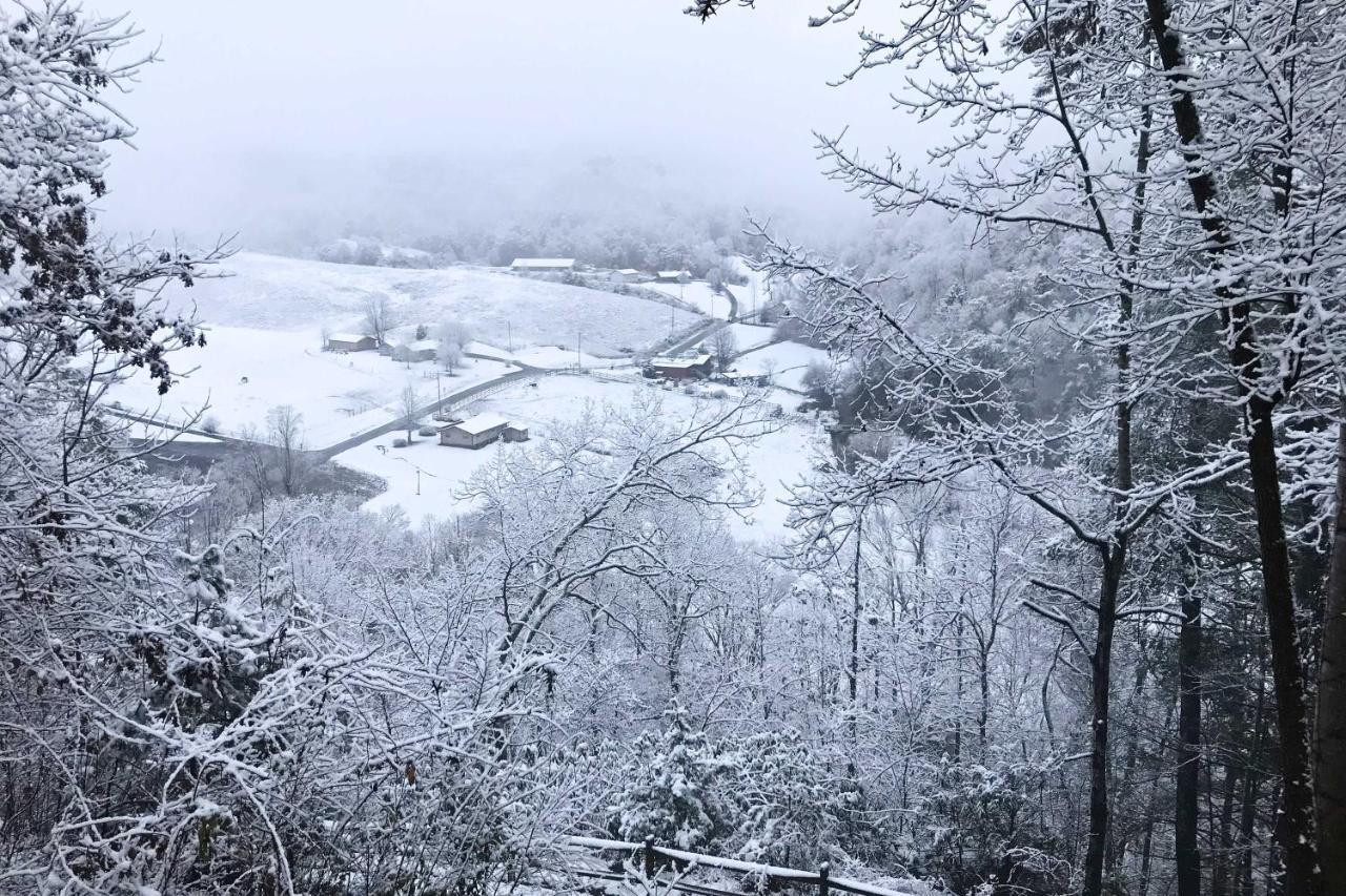 Pigeon Forge Scenic Solitude With Private Hot Tub! Екстер'єр фото